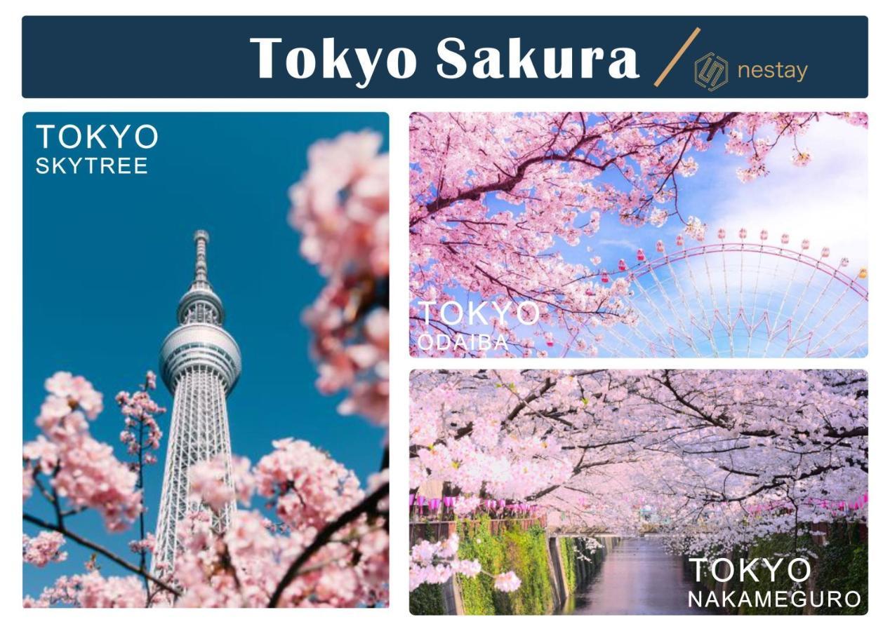 Apartmán Nestay Otsuka 302 *